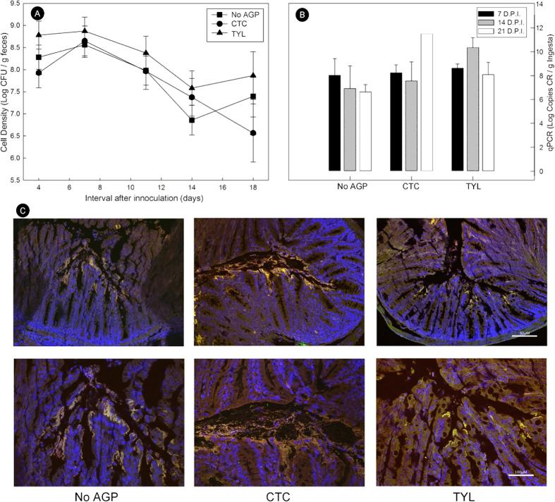 https://cdn.ncbi.nlm.nih.gov/pmc/blobs/3606/5144068/86ca245bec2c/srep38377-f2.jpg
