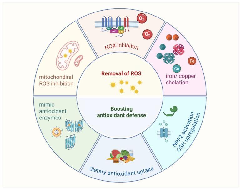 https://cdn.ncbi.nlm.nih.gov/pmc/blobs/3608/12189842/54cd08139257/antioxidants-14-00674-g007.jpg