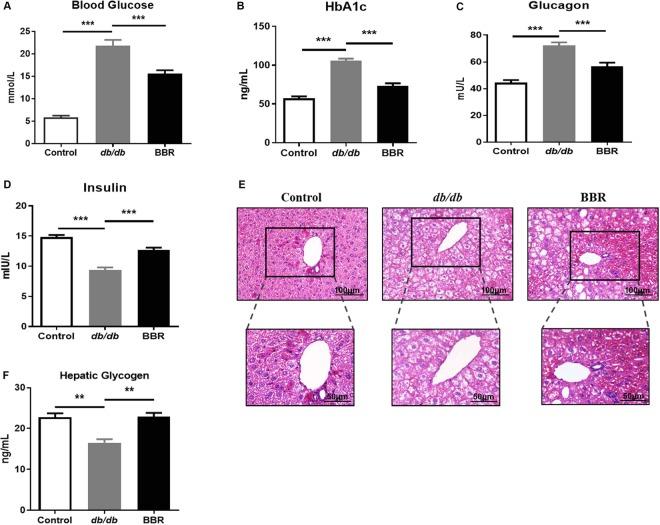 https://cdn.ncbi.nlm.nih.gov/pmc/blobs/3608/6541623/3f19a01a6c1d/41598_2019_44576_Fig2_HTML.jpg