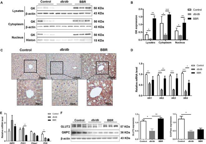 https://cdn.ncbi.nlm.nih.gov/pmc/blobs/3608/6541623/640260afa14e/41598_2019_44576_Fig5_HTML.jpg