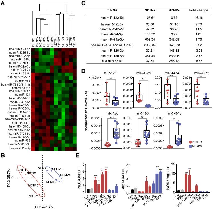https://cdn.ncbi.nlm.nih.gov/pmc/blobs/3609/7806483/aadf3d51b304/thnov11p2770g005.jpg