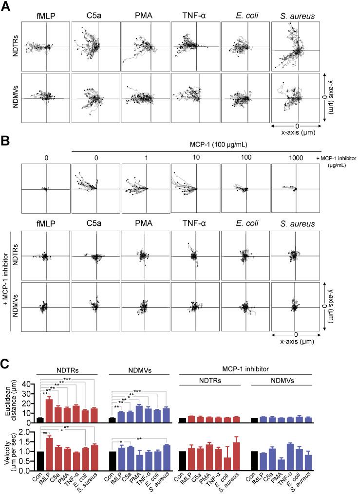 https://cdn.ncbi.nlm.nih.gov/pmc/blobs/3609/7806483/f5d28127dc11/thnov11p2770g003.jpg