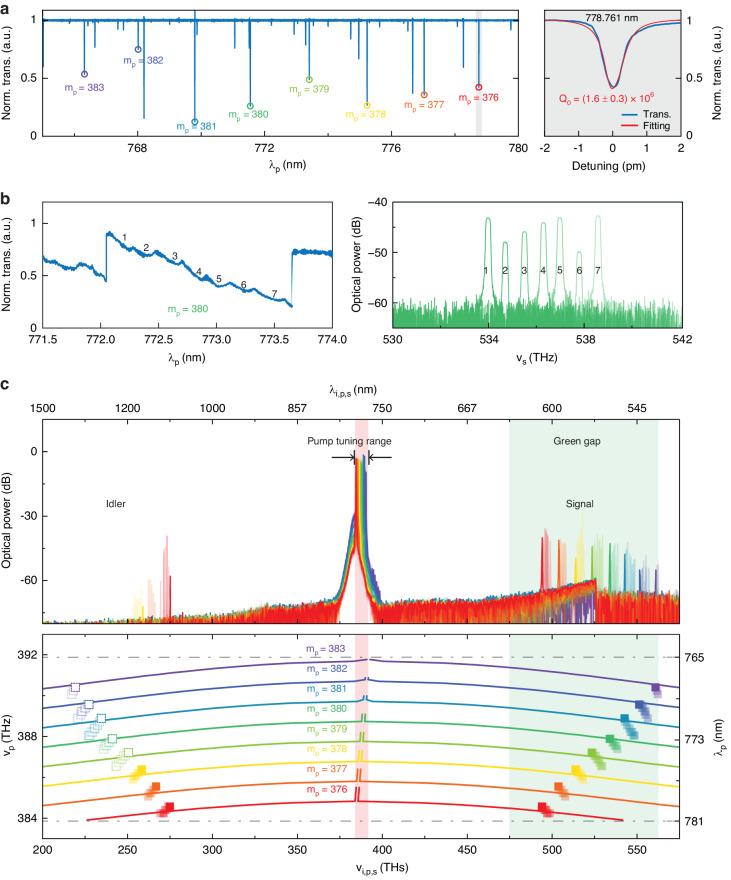 https://cdn.ncbi.nlm.nih.gov/pmc/blobs/360a/11339420/f688a589ab60/41377_2024_1534_Fig3_HTML.jpg