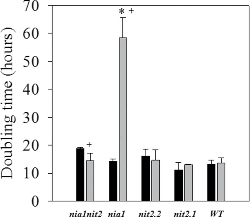 https://cdn.ncbi.nlm.nih.gov/pmc/blobs/360c/3883280/54d6f51435df/exbotj_ert339_f0001.jpg