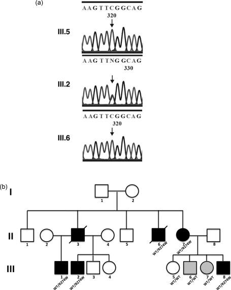 https://cdn.ncbi.nlm.nih.gov/pmc/blobs/360c/4837241/51e5ac183a95/CEI-184-216-g001.jpg
