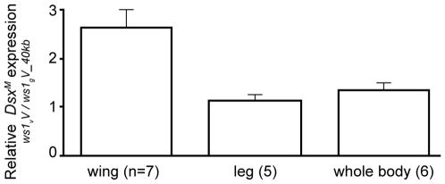 https://cdn.ncbi.nlm.nih.gov/pmc/blobs/360d/2799512/12c280895ea3/pgen.1000821.g004.jpg