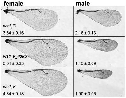 https://cdn.ncbi.nlm.nih.gov/pmc/blobs/360d/2799512/9739eed39d42/pgen.1000821.g001.jpg