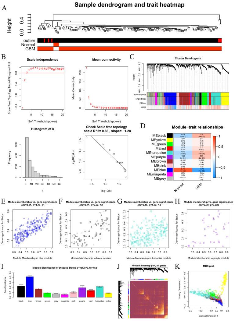 https://cdn.ncbi.nlm.nih.gov/pmc/blobs/360d/9562700/8c6aa9702538/cells-11-03000-g002.jpg