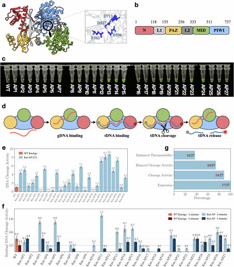 https://cdn.ncbi.nlm.nih.gov/pmc/blobs/360e/11385924/76ce8b98332a/41421_2024_728_Fig3_HTML.jpg