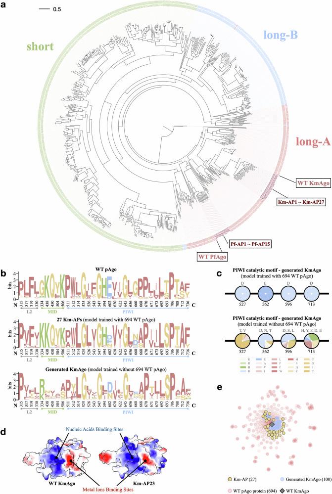 https://cdn.ncbi.nlm.nih.gov/pmc/blobs/360e/11385924/911c25840328/41421_2024_728_Fig5_HTML.jpg
