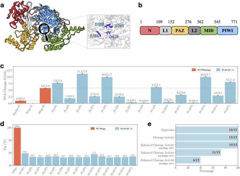 https://cdn.ncbi.nlm.nih.gov/pmc/blobs/360e/11385924/f17fb8547f22/41421_2024_728_Fig4_HTML.jpg