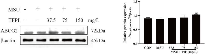 https://cdn.ncbi.nlm.nih.gov/pmc/blobs/360f/9938467/39e9c8d736c5/gr5.jpg