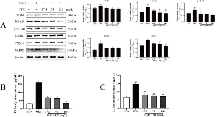 https://cdn.ncbi.nlm.nih.gov/pmc/blobs/360f/9938467/4a34e5b128ec/gr4.jpg