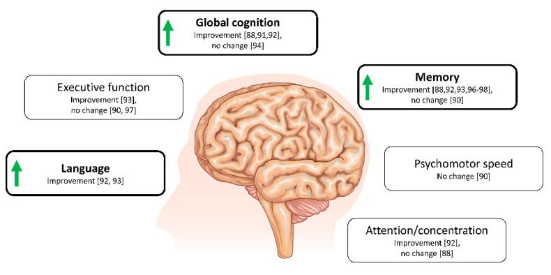 https://cdn.ncbi.nlm.nih.gov/pmc/blobs/3610/7699472/7d7b204c21bb/ijms-21-08767-g003.jpg