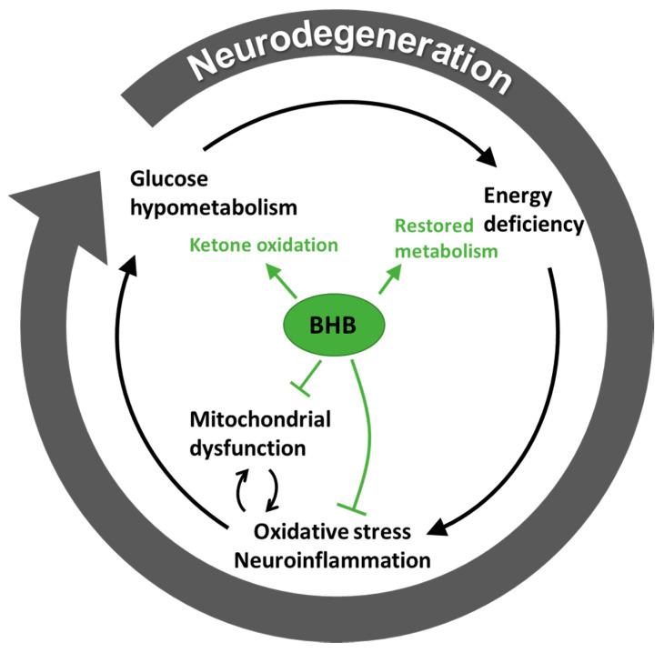 https://cdn.ncbi.nlm.nih.gov/pmc/blobs/3610/7699472/8ca3937b9eba/ijms-21-08767-g002.jpg