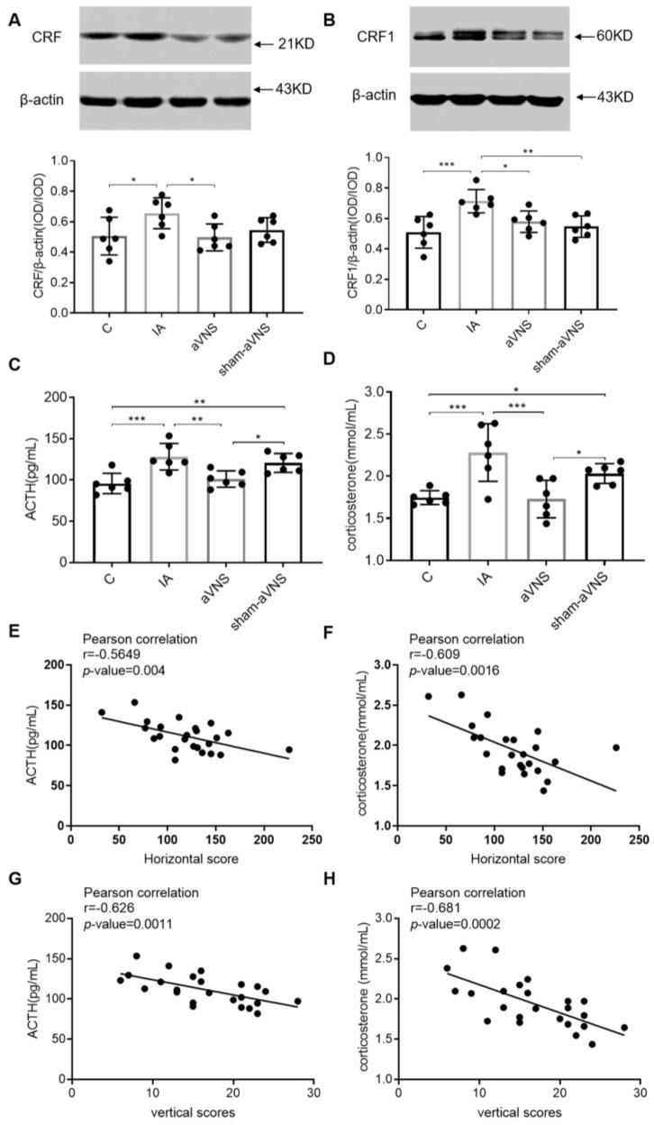 https://cdn.ncbi.nlm.nih.gov/pmc/blobs/3610/9954117/0d072b6721bc/brainsci-13-00253-g006.jpg