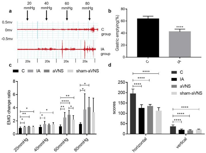https://cdn.ncbi.nlm.nih.gov/pmc/blobs/3610/9954117/87b250914275/brainsci-13-00253-g002.jpg