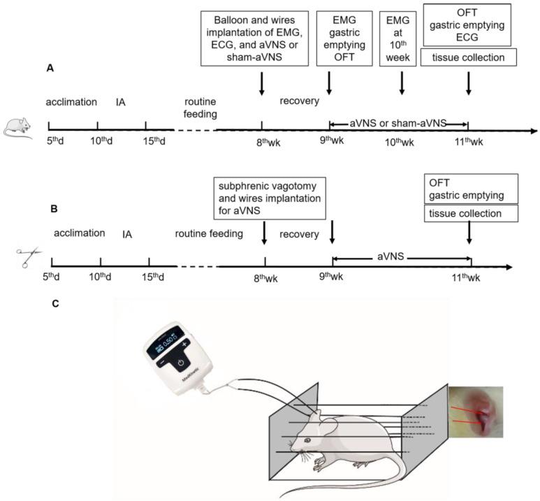 https://cdn.ncbi.nlm.nih.gov/pmc/blobs/3610/9954117/8e15e88c23cb/brainsci-13-00253-g001.jpg