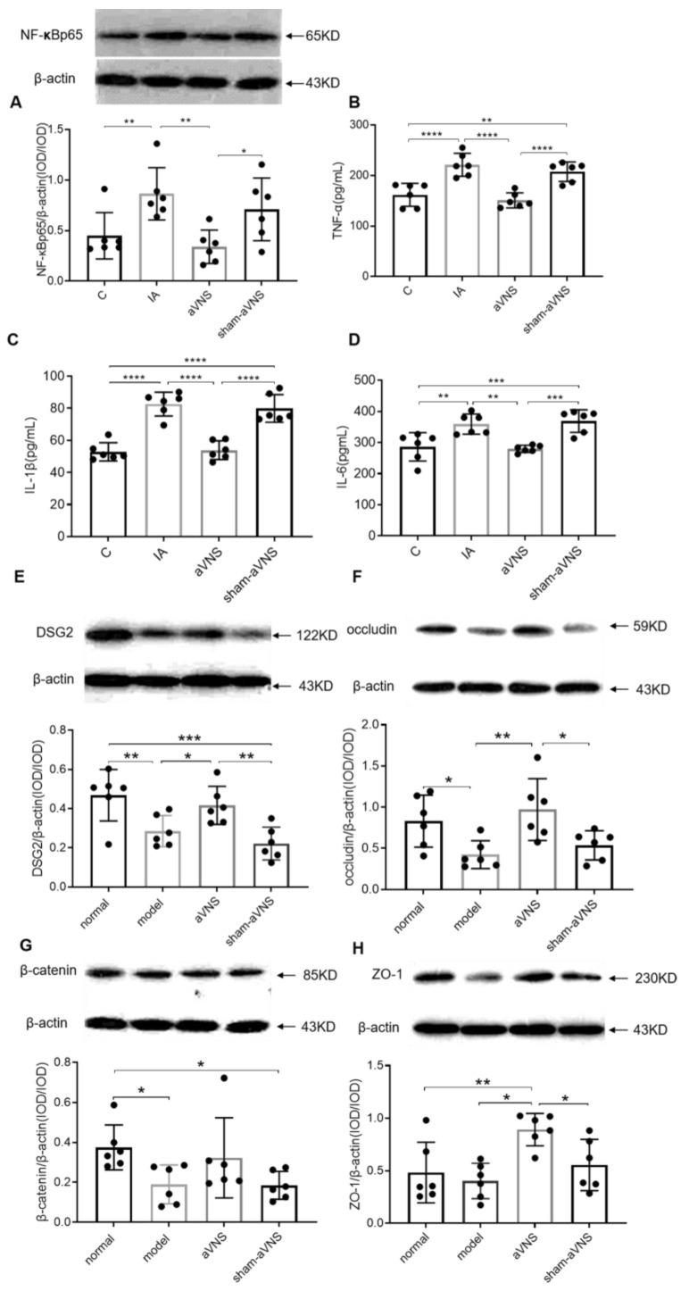 https://cdn.ncbi.nlm.nih.gov/pmc/blobs/3610/9954117/d6654fc8b70b/brainsci-13-00253-g005.jpg