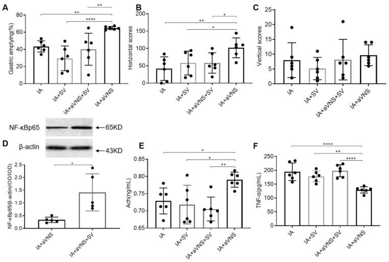 https://cdn.ncbi.nlm.nih.gov/pmc/blobs/3610/9954117/e91824875853/brainsci-13-00253-g007.jpg
