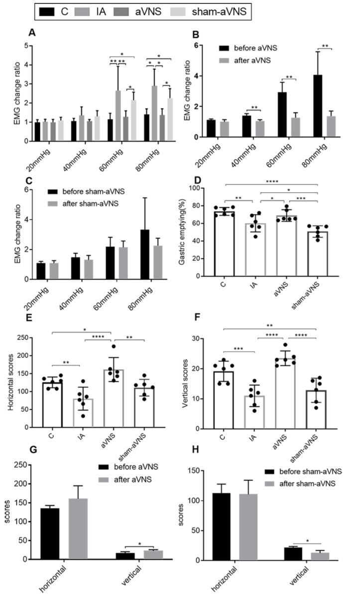 https://cdn.ncbi.nlm.nih.gov/pmc/blobs/3610/9954117/efa4e9ea11dc/brainsci-13-00253-g003.jpg