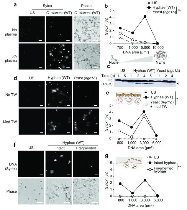 https://cdn.ncbi.nlm.nih.gov/pmc/blobs/3611/4236687/dd698ec94f68/emss-59942-f0001.jpg