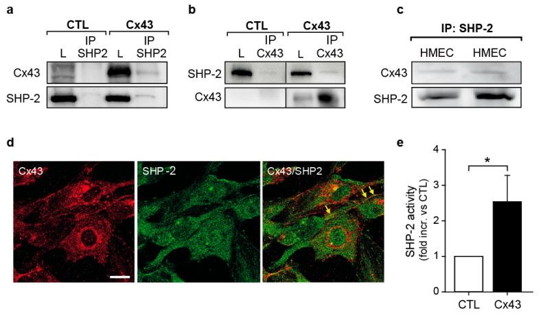 https://cdn.ncbi.nlm.nih.gov/pmc/blobs/3611/8745637/f491dde37d42/ijms-23-00294-g003.jpg