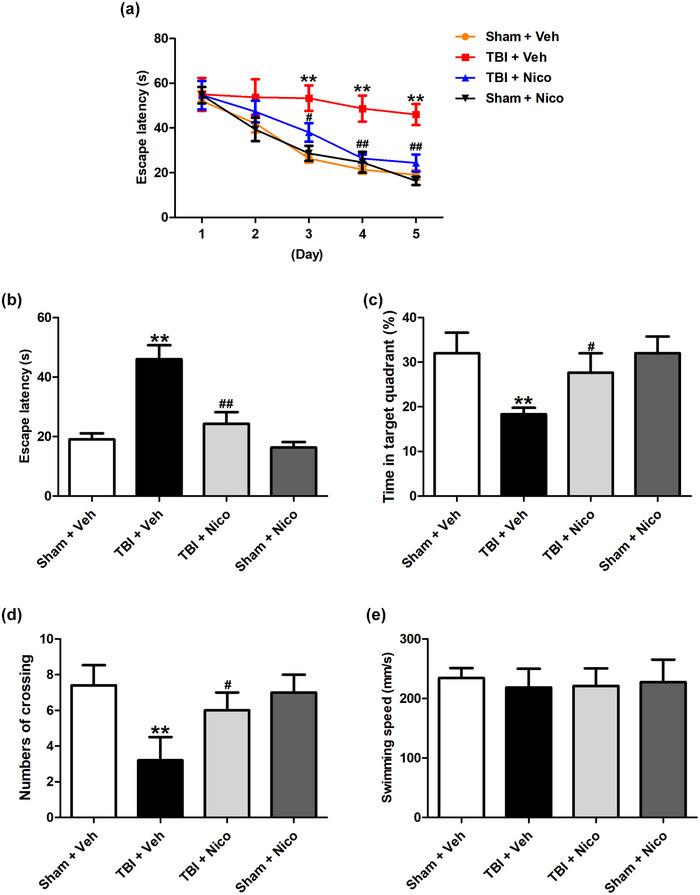 https://cdn.ncbi.nlm.nih.gov/pmc/blobs/3612/10757892/b4d60999e9df/BRB3-14-e3356-g004.jpg