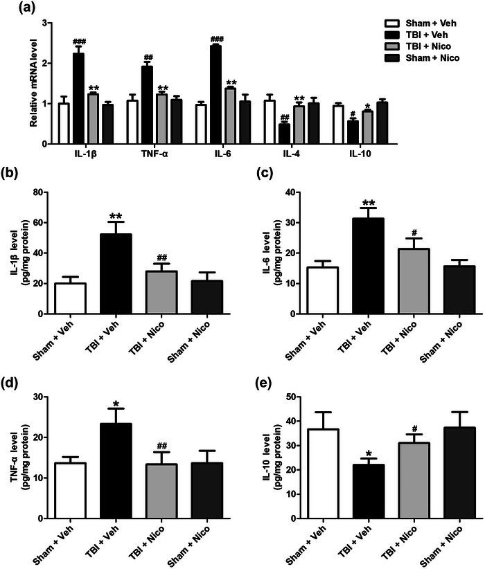 https://cdn.ncbi.nlm.nih.gov/pmc/blobs/3612/10757892/e53766535c1d/BRB3-14-e3356-g006.jpg