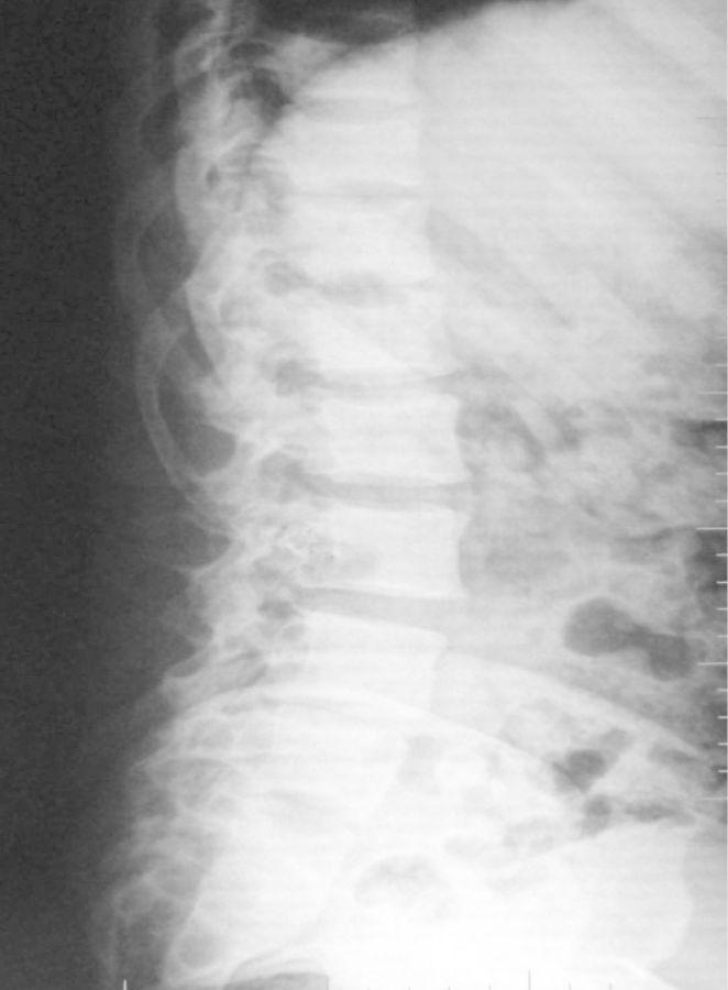 https://cdn.ncbi.nlm.nih.gov/pmc/blobs/3612/4432441/f1577d22cfb4/sfs18604.jpg