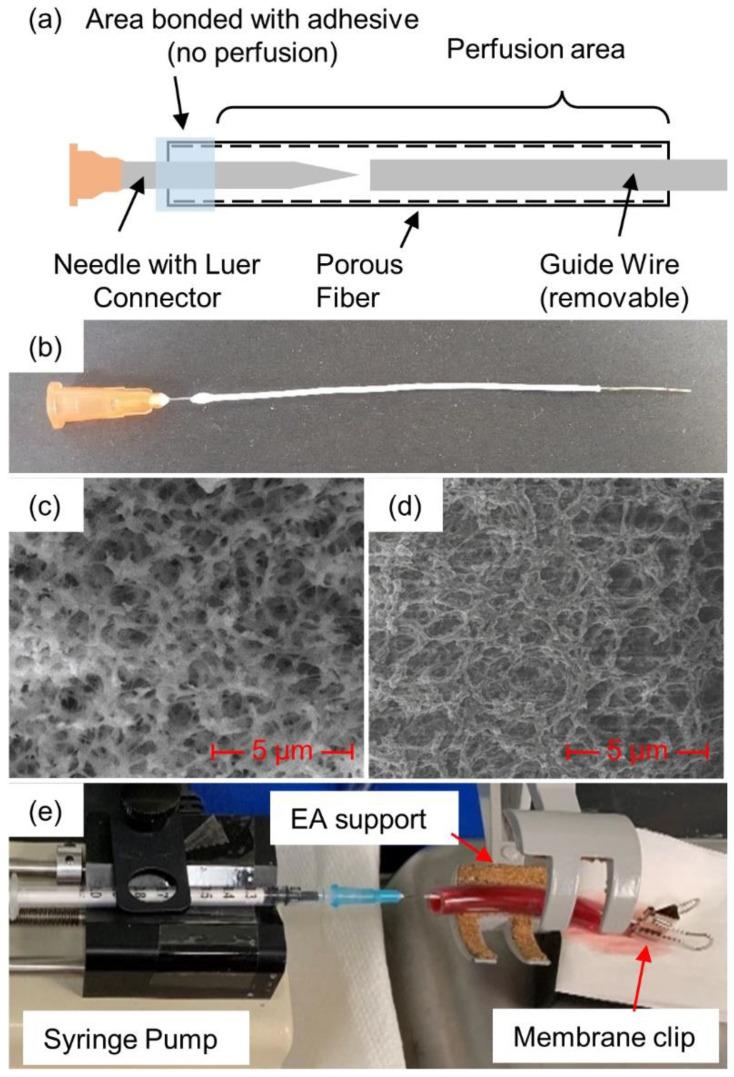 https://cdn.ncbi.nlm.nih.gov/pmc/blobs/3612/9405282/3a94c1c9e2e7/biomedicines-10-01870-g001.jpg