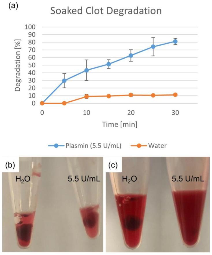 https://cdn.ncbi.nlm.nih.gov/pmc/blobs/3612/9405282/8c3932e09d37/biomedicines-10-01870-g002.jpg