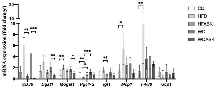 https://cdn.ncbi.nlm.nih.gov/pmc/blobs/3613/8308298/08dc902e337b/nutrients-13-02182-g005.jpg