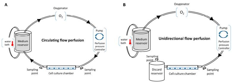 https://cdn.ncbi.nlm.nih.gov/pmc/blobs/3616/7662866/29331deea4db/ijms-21-08156-g001.jpg
