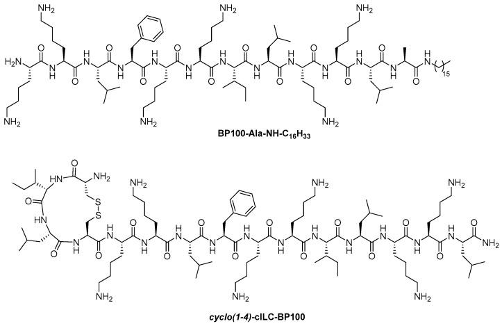 https://cdn.ncbi.nlm.nih.gov/pmc/blobs/3618/10970450/78ca4a912d03/ijms-25-03456-g004.jpg
