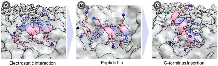 https://cdn.ncbi.nlm.nih.gov/pmc/blobs/3618/10970450/f7721b1bfc74/ijms-25-03456-g005.jpg
