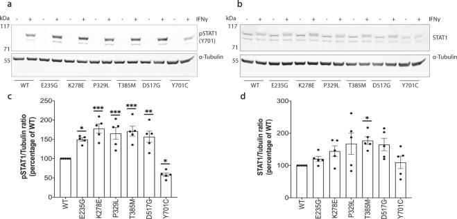 https://cdn.ncbi.nlm.nih.gov/pmc/blobs/3618/8121859/48abae95964e/41525_2021_196_Fig2_HTML.jpg
