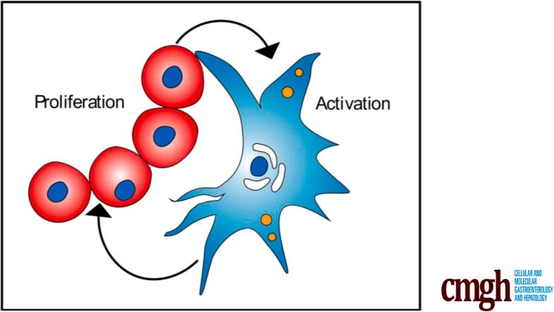 https://cdn.ncbi.nlm.nih.gov/pmc/blobs/3619/11968293/69e8a0551fab/ga1.jpg
