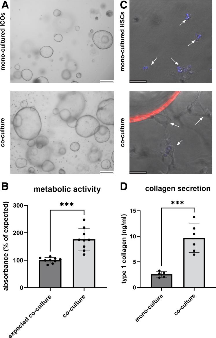 https://cdn.ncbi.nlm.nih.gov/pmc/blobs/3619/11968293/f505840ab31d/gr2.jpg