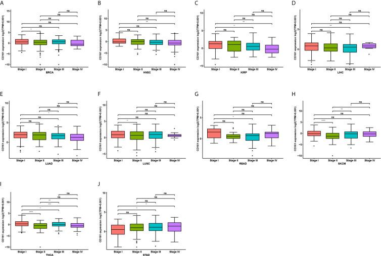https://cdn.ncbi.nlm.nih.gov/pmc/blobs/3619/8299557/1932150826a2/fimmu-12-688215-g002.jpg