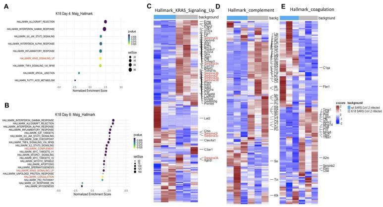 https://cdn.ncbi.nlm.nih.gov/pmc/blobs/361a/8315069/033477c64472/thnov11p8076g007.jpg