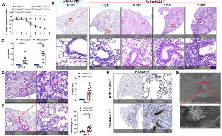 https://cdn.ncbi.nlm.nih.gov/pmc/blobs/361a/8315069/196f9cf88909/thnov11p8076g001.jpg