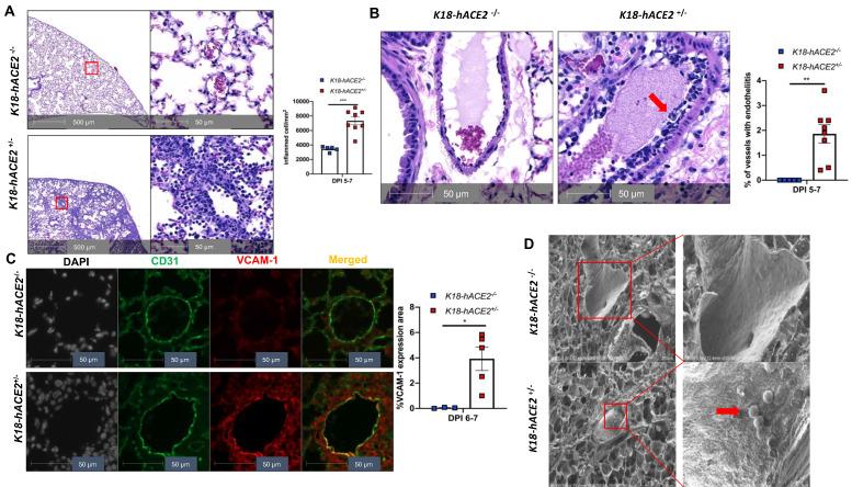 https://cdn.ncbi.nlm.nih.gov/pmc/blobs/361a/8315069/2528459cfd9e/thnov11p8076g003.jpg