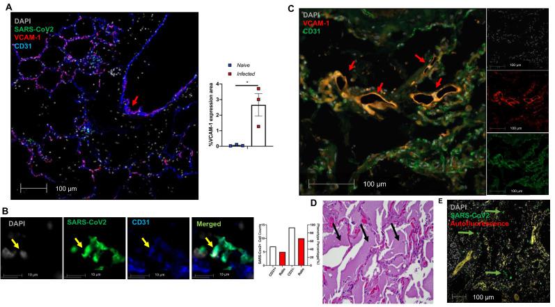 https://cdn.ncbi.nlm.nih.gov/pmc/blobs/361a/8315069/7e7d7e4c0f54/thnov11p8076g006.jpg