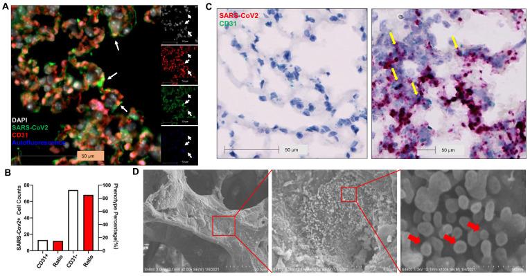 https://cdn.ncbi.nlm.nih.gov/pmc/blobs/361a/8315069/e4c465ee3028/thnov11p8076g005.jpg