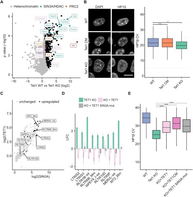 https://cdn.ncbi.nlm.nih.gov/pmc/blobs/361b/9410877/06a752c4a02e/gkac642fig5.jpg