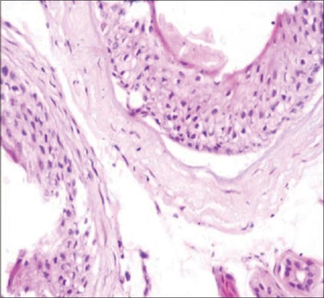 https://cdn.ncbi.nlm.nih.gov/pmc/blobs/361c/5784303/90ba4b526273/JLP-10-95-g003.jpg