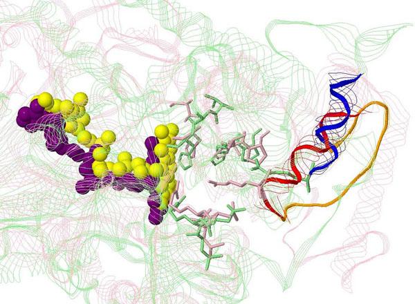 https://cdn.ncbi.nlm.nih.gov/pmc/blobs/361f/3044288/1abe9501c776/1471-2105-12-S1-S32-2.jpg