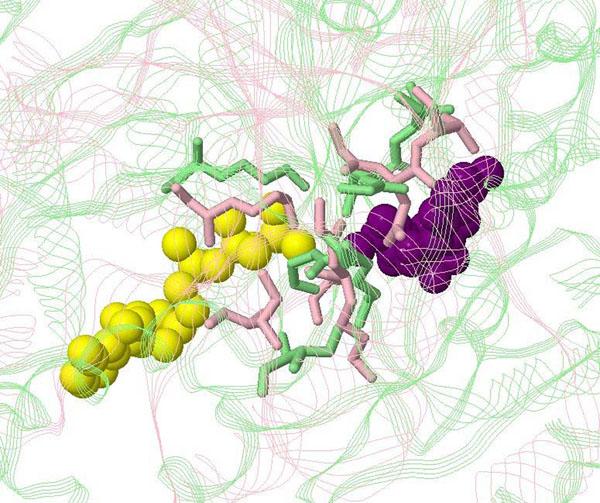 https://cdn.ncbi.nlm.nih.gov/pmc/blobs/361f/3044288/99b58848a8e2/1471-2105-12-S1-S32-3.jpg