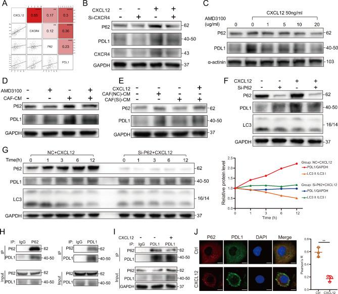 https://cdn.ncbi.nlm.nih.gov/pmc/blobs/3620/10675892/005962d4e8c2/13046_2023_2900_Fig4_HTML.jpg